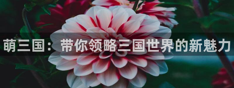羞羞漫画免费看入口：萌三国：带你领略三国世界的新魅力